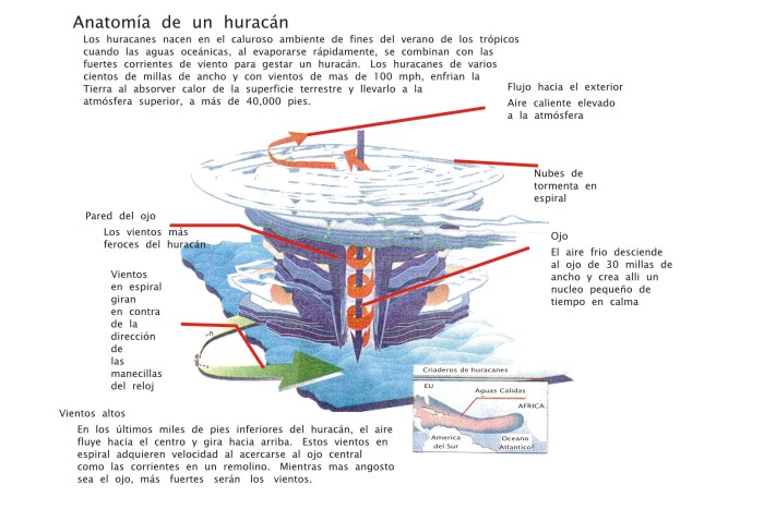 Anatoma del Huracn