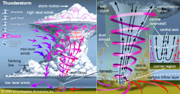 Anatoma del Tornado